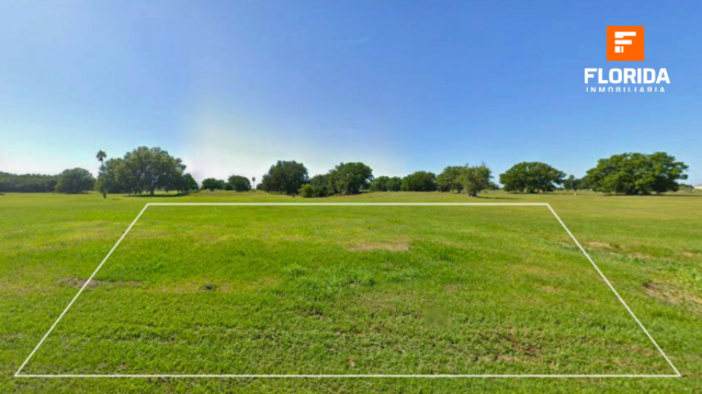 Lote 1